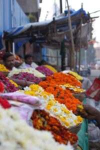 Top Spiritual Destinations Near Varanasi You Shouldn’t Miss