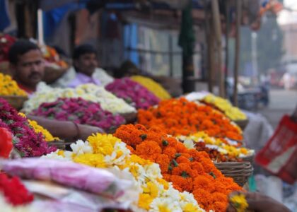 Varanasi Darshan through flowers at kashi Vishwanath mandir and Ayodhya darshan