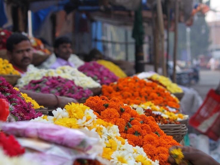 Varanasi Darshan through flowers at kashi Vishwanath mandir and Ayodhya darshan